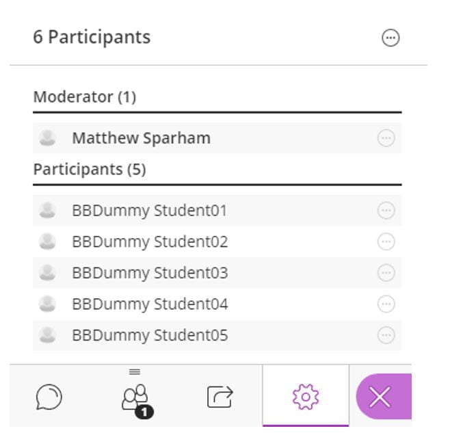 A screenshot of the Blackboard Collaborate Participants tab. Two sections of users are shown, moderators and participants. There is an ellipses icon next to each name.