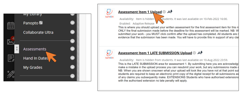 A screenshot of a Turnitin Assignment in Blackboard Original. A mouse cursor icon is shown clicking on the title of the assignment. 