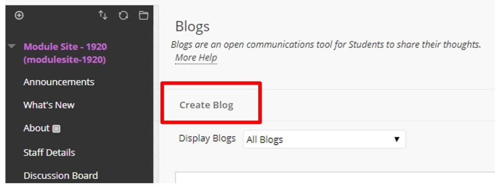 A screenshot of a Blackboard Module Site, the Blogs page is shown, a red box highlights the Create Blog button.