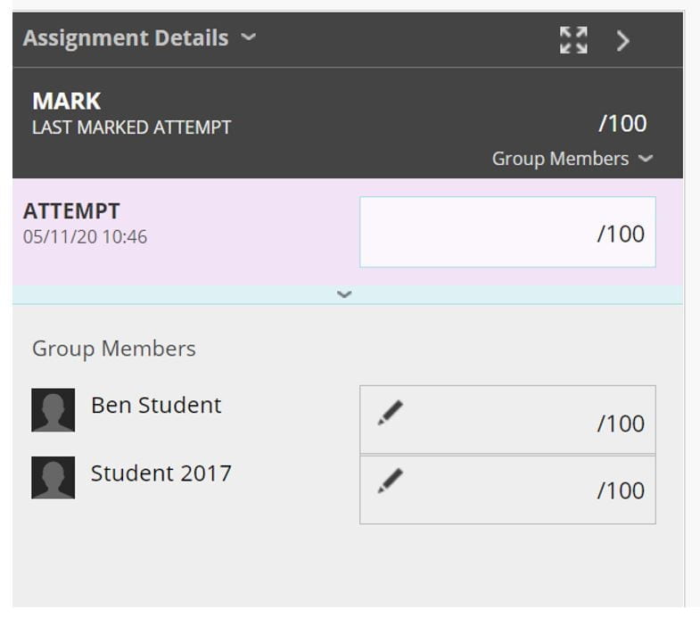A screenshot of the Feedback and Marks box in Blackboard. It shows that there are two members in the group, and provides individual grade boxes.