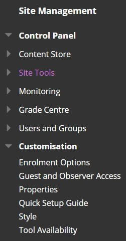 A screenshot showing the 'Site Management' menu in the left hand navigation of Blackboard.