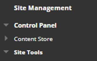 A screenshot showing the Site Management menu in the left hand navigation on a module site.