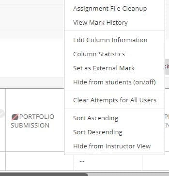 A screenshot of a column in the grade centre, the column menu is expanded to show a list of options, the Hide from Students On or Off option is fifth from the bottom.
