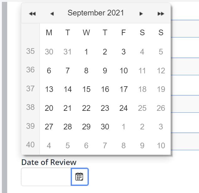 A screenshot of a data selection field, a calendar displaying the month september 2021 is shown.