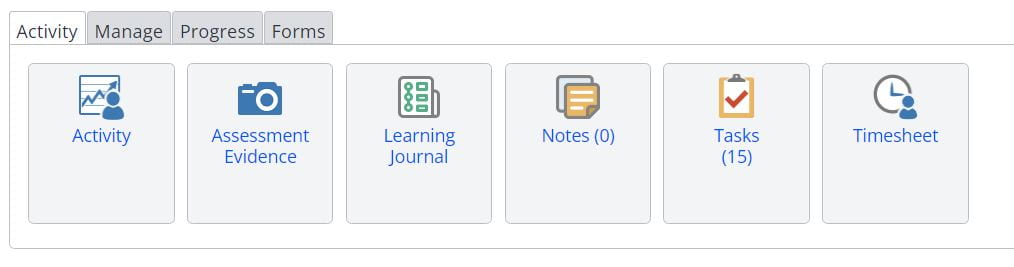 A screenshot of the Activity tab of a Learner's portfolio in one File. Six icons are shown, in order they are: activity, assessment evidence, learning journal, notes, tasks and timesheets.