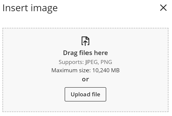 Option to upload file or drag and drop the same.